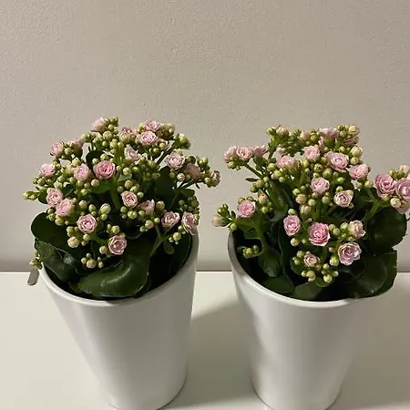 Casa Valentina 2 度假居 佩鲁贾