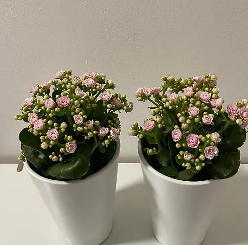 Casa Valentina 2 Dom wakacyjny Perugia